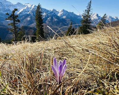 Photo from Natur_erleben_dg along the tour