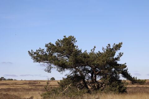 Fotografia z Remco Bartelds na trase