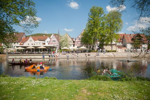 Der Stadtpark Kleb im Sommer mit Tretbooten auf der Nagold