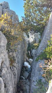 Photo de Thomas Berensmann le long du parcours