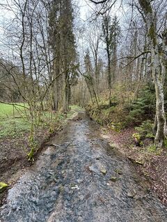 Photo de Michael Erdmann le long du parcours
