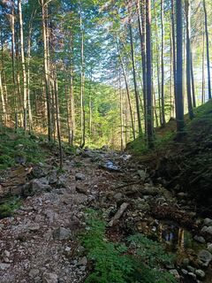 Photo de Stefan Gruber 8 le long du parcours