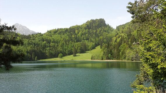 Alatsee