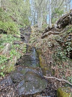 Photo de Christine Walzel64 le long du parcours