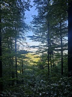 Photo de Marius Ukrinas le long du parcours
