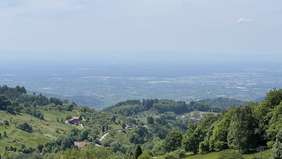 Fotografija s spletne strani Volki F. na poti