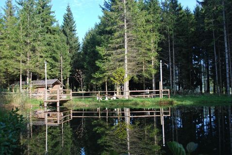 Schwoaghofer-Teich_St. Kathrein/O._Oststeiermark