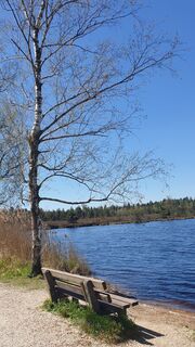 Zdjęcie z Ingeborg Maislinger wzdłuż trasy