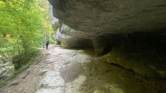 Fotografie z Michael Jung na trase