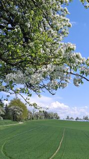 Fotografija s spletne strani Jordy na poti