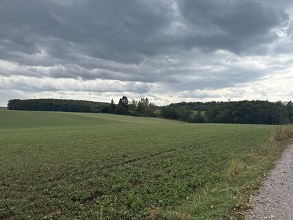 Foto von Tyx De entlang der Tour