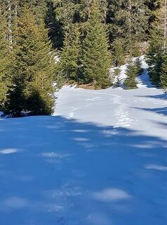 Foto fra David undervejs på turen