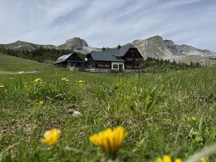 Photo de Yan Liu le long du parcours
