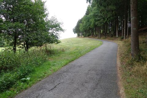 Asphaltierter Wegesverlauf hinauf in Richtung Vorderste Vornberg