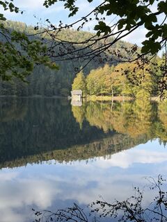 Fotografija s spletne strani Babs Holz na poti