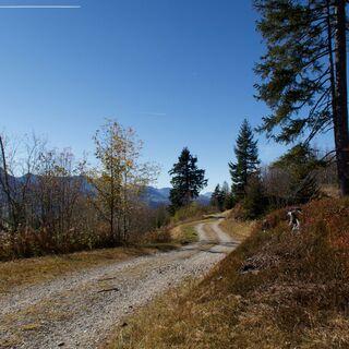 Weg nach Wasserscheide - Gantrisch Bike-Panoramaweg