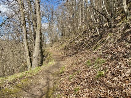 Fotografija s spletne strani berg-wanderer na poti