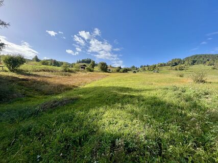 Foto von Nicole Hundertmark entlang der Tour