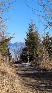 Foto von Ziegler Em1304 entlang der Tour