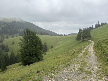 Fotografia z justasimpleguy na trase