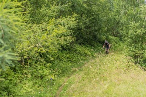 Abwechslungsreiche Mountainbike Tour