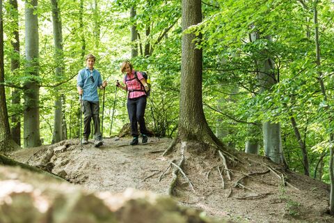 Salzwanderweg Bad Friedrichshall | HeilbronnerLand