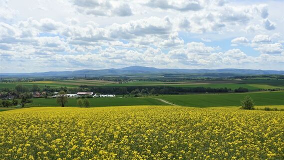 Aussichtspunkt mit Panoramablick
