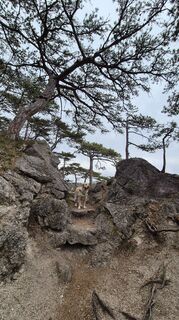 Photo de Claudia Maurer le long du parcours