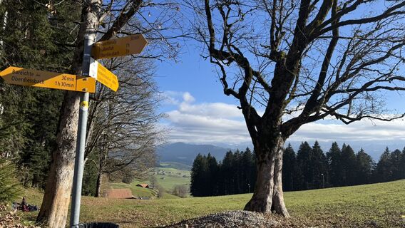 Fotografia z peter_oe na trase