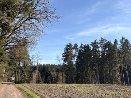 Foto de Nina Astleitner a lo largo del recorrido