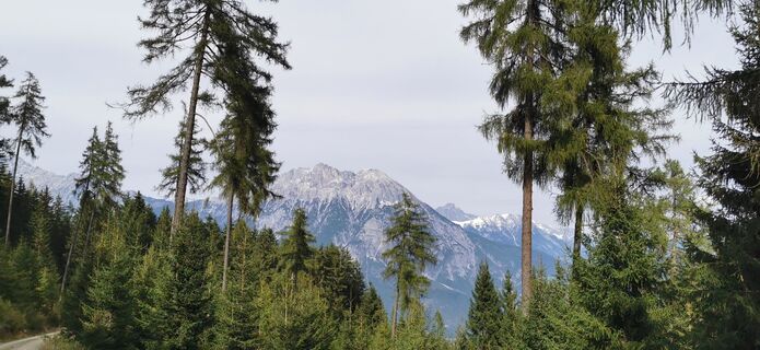 Foto von Roland Abart entlang der Tour