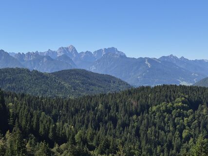 Fotografija s spletne strani ALOHO na poti