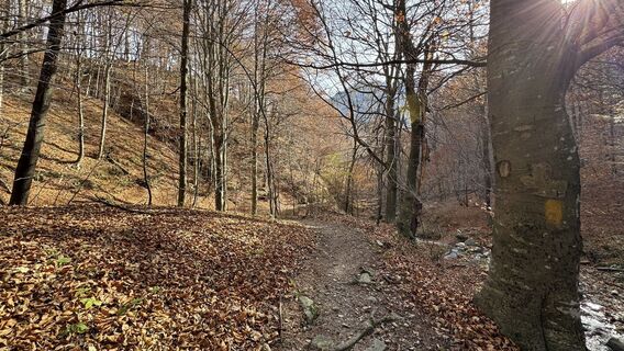 Fotografia z peter_oe na trase