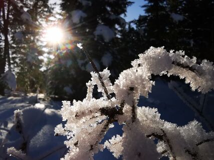 Winterimpression
