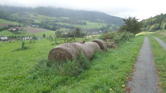 Blick zum Jauerling