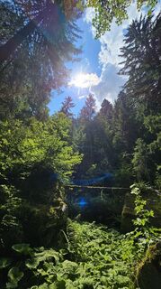 Fotografie z Cors van Dorp na trase