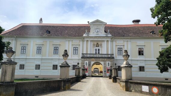 Zdjęcie z mmecki wzdłuż trasy