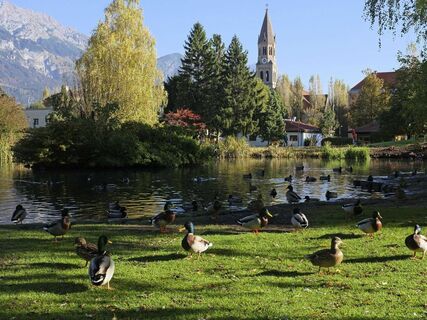 Rapoldipark Teich