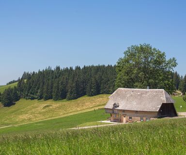 Ferienhaus Schanzenhäusle