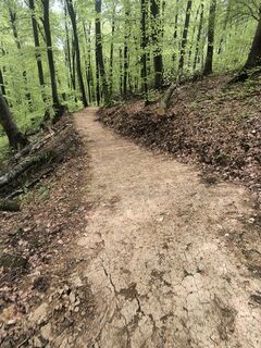 Photo de Anže Bizjak le long du parcours