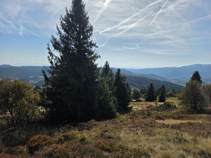 Foto von Daniel ROMAND entlang der Tour
