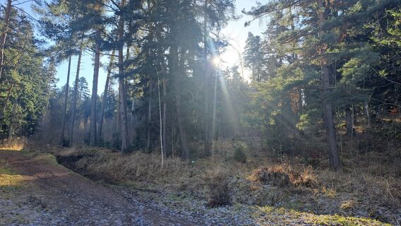 Fotó a Gobio honlapról a túra során