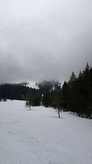 Fotografie z Ing Saša Djordjević MA na trase