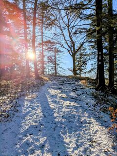 Fotografija s spletne strani Sabrina Hackel na poti