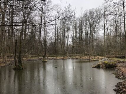Fotografija s spletne strani Pascal Oliver Hauser na poti