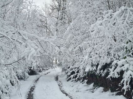 Foto von Volker Wagener entlang der Tour