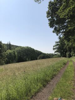 Foto de Selden Rothbrust a lo largo del recorrido