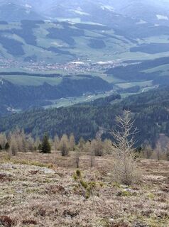 Fotografija s spletne strani Gusterbernhard na poti