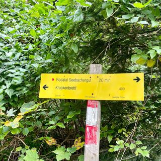Kruckenbrettl - Trail