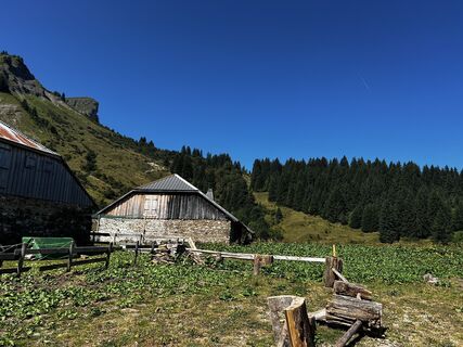 Foto von Dominique BERTHET entlang der Tour